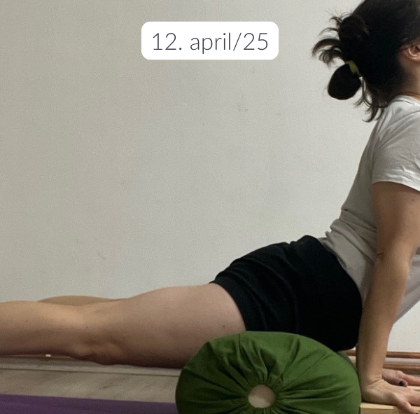 SOBOTNA IYENGAR DELAVNICA Z MARINO VRBAVAC