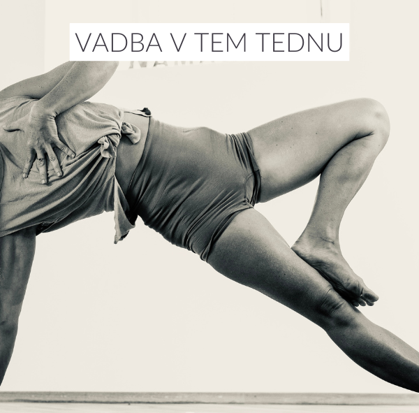 Vasiṣṭhāsana: Ravnotežje med močjo in modrostjo