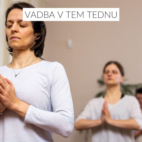 Tedenska joga: stabilnost, fokus in umiritev brez pripomočkov