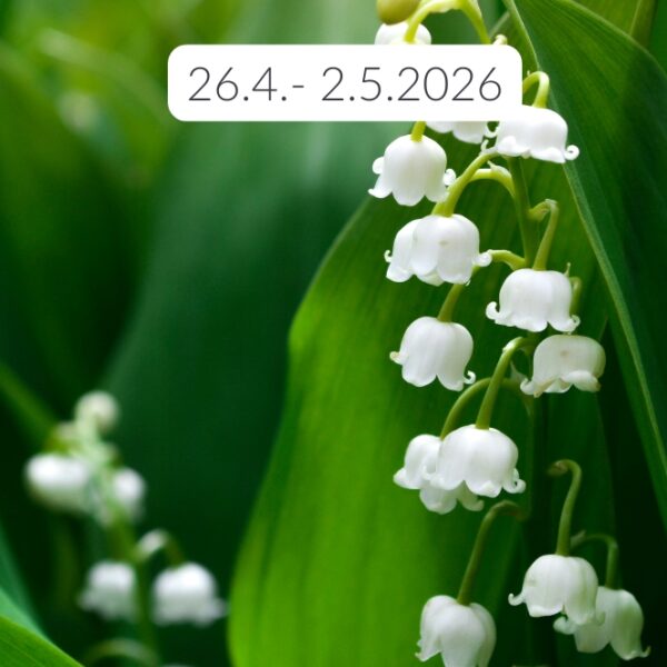 Prvomajske počitnice: vadbe joge odpadejo v Mariboru, Lenartu in Radljah